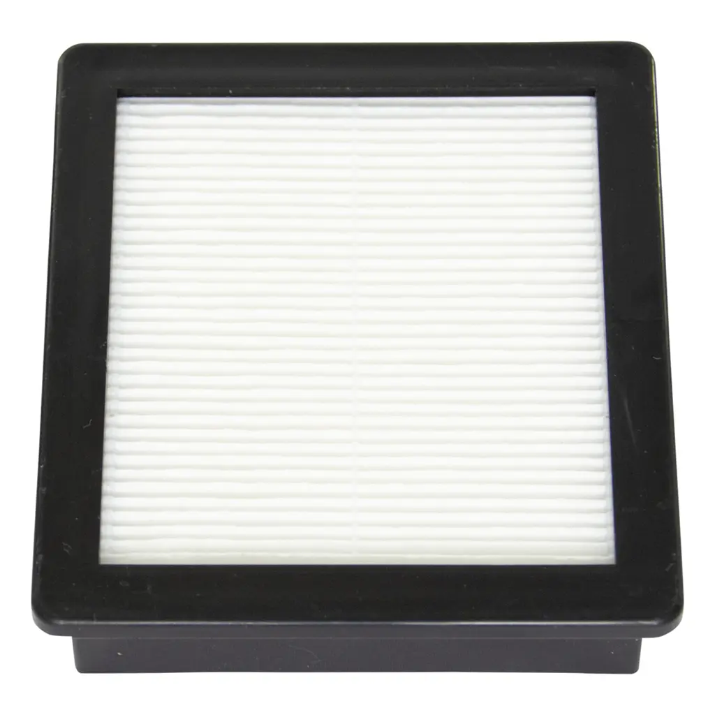 Filtro HEPA (2 pezzi)