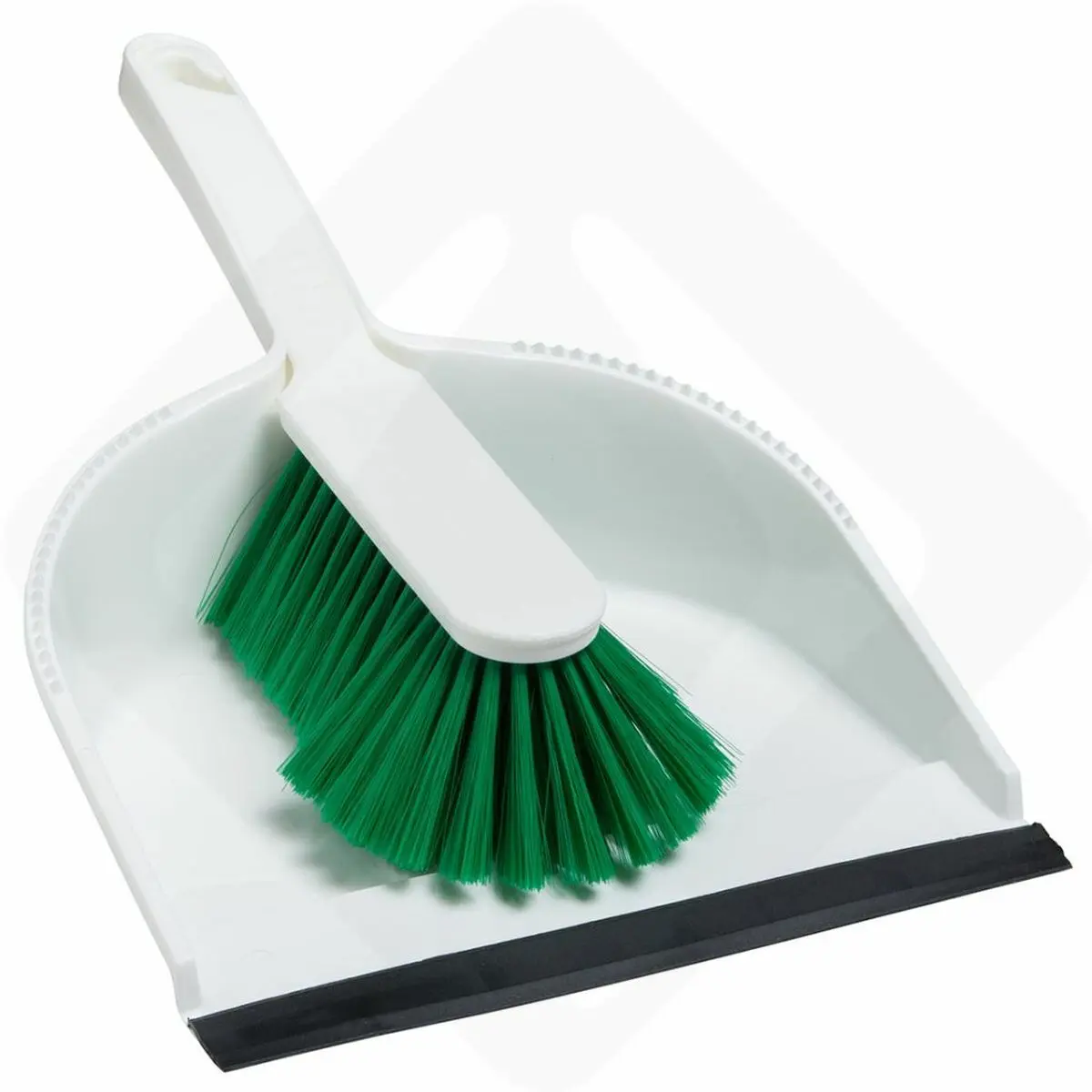 Steinfels Scopino e Paletta verde