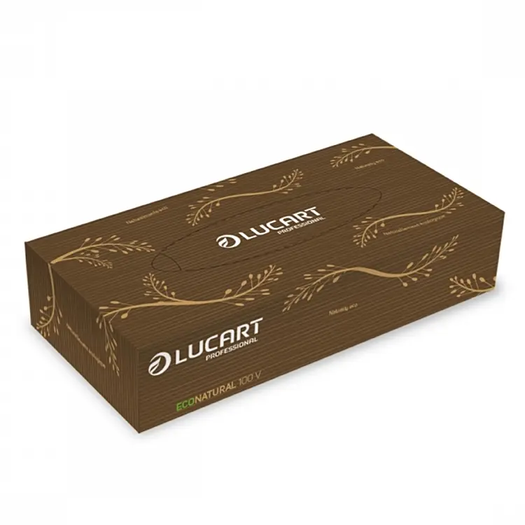 Kosmetiktücher Lucart EcoNatural 100V 2-lagig 21.0 x 20.0 cm 100er Pack